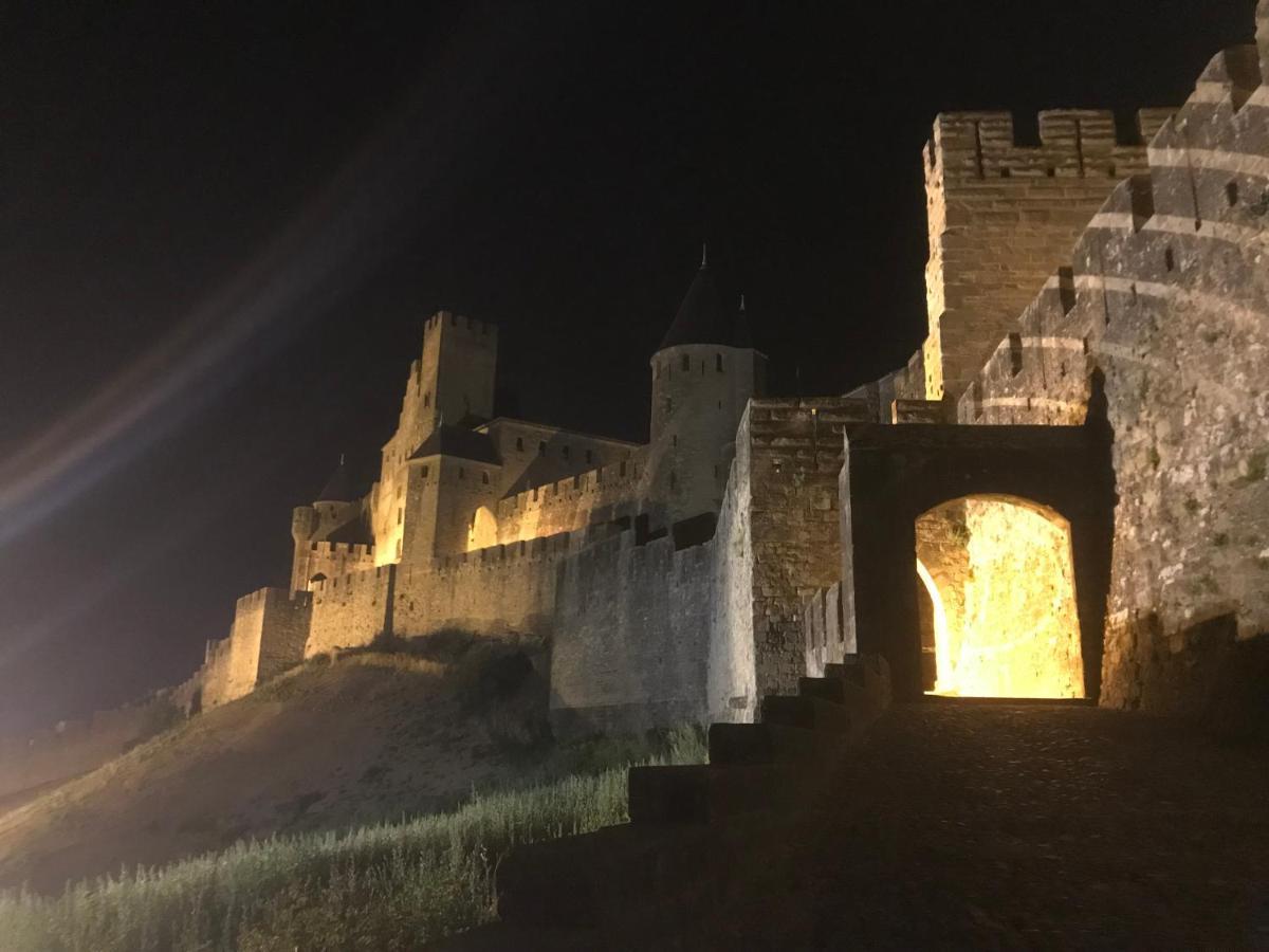 Le Clos Saint Michel Carcassonne Exterior photo
